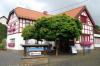 Bild der Filiale