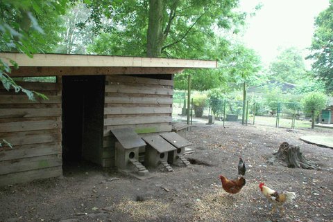VR-Westmnsterland_-_Vogelpark