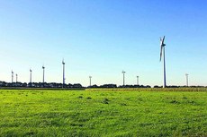 raiba_scharrel_windpark